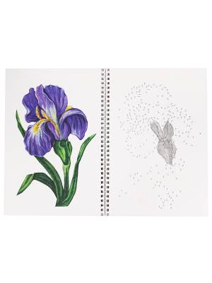 Альбом для рисования РИСУЕМ ОТ ТОЧКИ К ТОЧКЕ